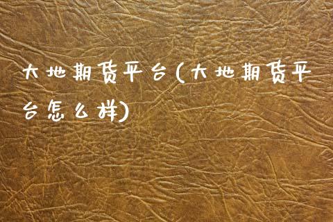 大地期货平台(大地期货平台怎么样)