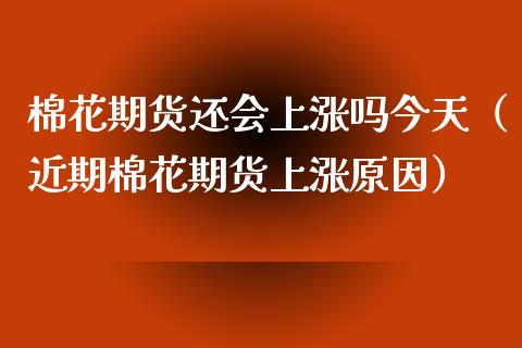 棉花期货还会上涨吗今天（近期棉花期货上涨原因）