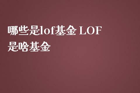 哪些是lof基金 LOF是啥基金
