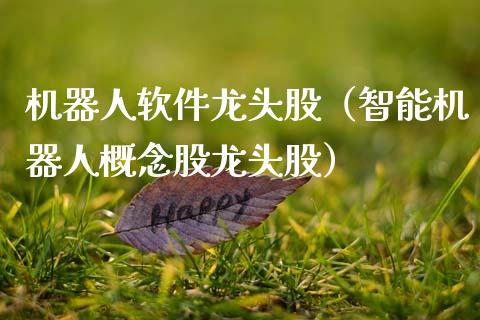 机器人软件龙头股（智能机器人概念股龙头股）
