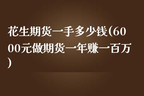 花生期货一手多少钱(6000元做期货一年赚一百万)