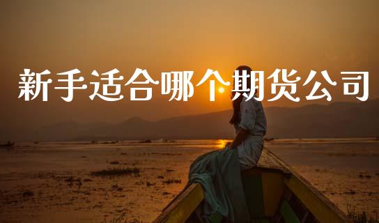 新手适合哪个期货公司