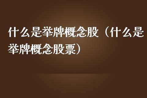 什么是举牌概念股（什么是举牌概念股票）