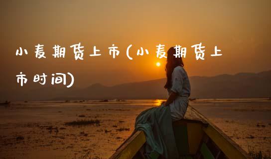 小麦期货上市(小麦期货上市时间)
