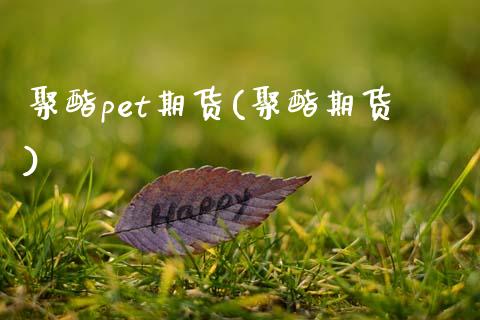 聚酯pet期货(聚酯期货)