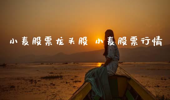 小麦股票龙头股 小麦股票行情_股票理财_第1张_宇龙理财网 小麦股票龙头股 小麦股票行情_https://www.dglong8.com_股票理财_第1张