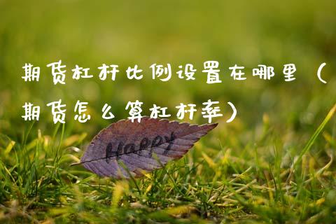 期货杠杆比例设置在哪里（期货怎么算杠杆率）