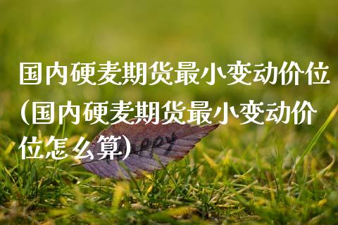 国内硬麦期货最小变动价位(国内硬麦期货最小变动价位怎么算)
