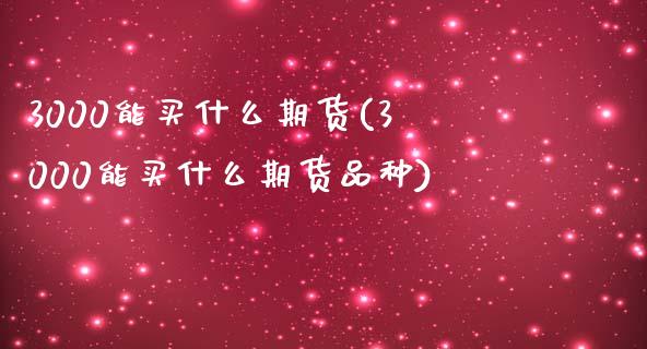 3000能买什么期货(3000能买什么期货品种)