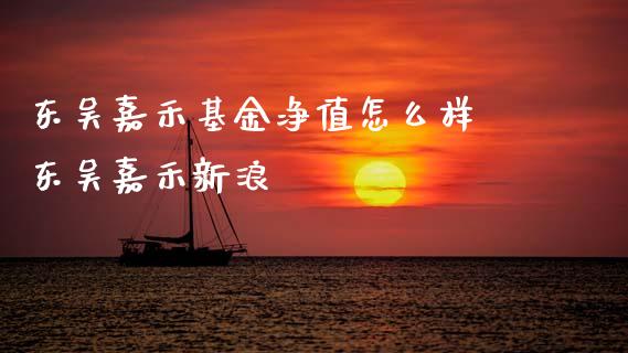东吴嘉禾基金净值怎么样 东吴嘉禾新浪