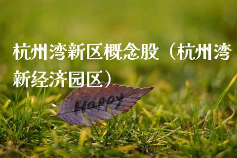 杭州湾新区概念股（杭州湾新经济园区）