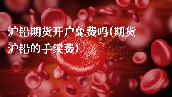 沪铅期货开户免费吗(期货沪铅的手续费)