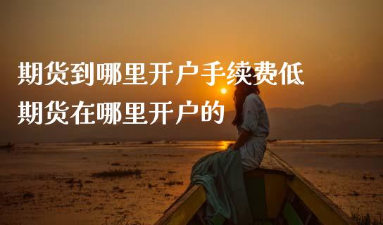 期货到哪里开户手续费低 期货在哪里开户的