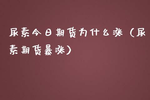 尿素今日期货为什么涨（尿素期货暴涨）