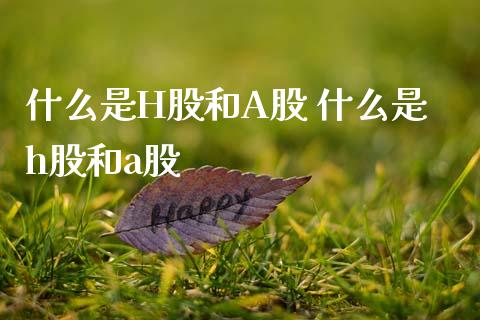 什么是H股和A股 什么是h股和a股