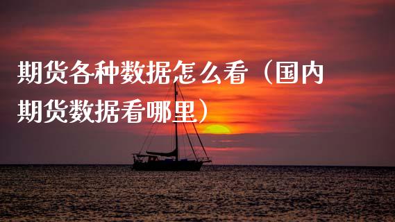 期货各种数据怎么看（国内期货数据看哪里）
