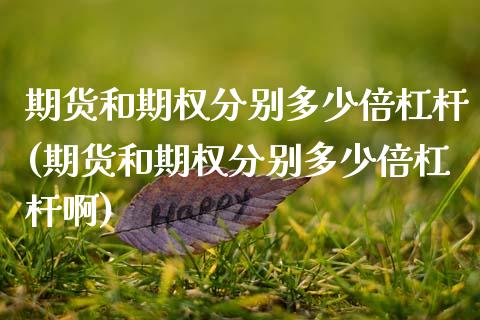 期货和期权分别多少倍杠杆(期货和期权分别多少倍杠杆啊)