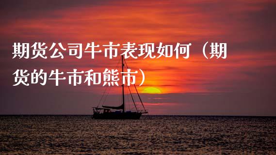 期货公司牛市表现如何（期货的牛市和熊市）