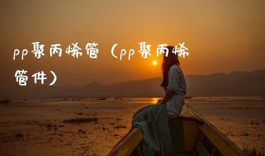 pp聚丙烯管（pp聚丙烯管件）