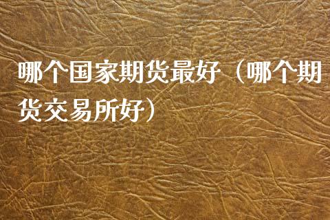 哪个国家期货最好（哪个期货交易所好）