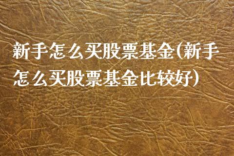 新手怎么买股票基金(新手怎么买股票基金比较好)