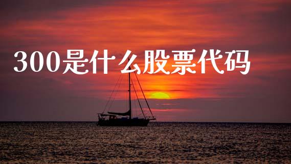 300是什么股票代码_https://www.dglong8.com_股票理财_第1张