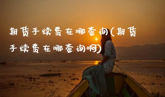 期货手续费在哪查询(期货手续费在哪查询啊)