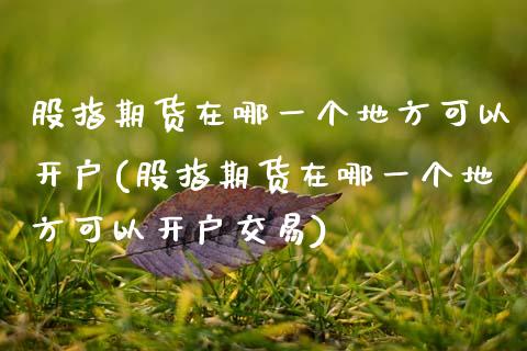 股指期货在哪一个地方可以开户(股指期货在哪一个地方可以开户交易)