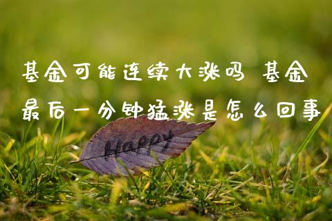 基金可能连续大涨吗 基金最后一分钟猛涨是怎么回事