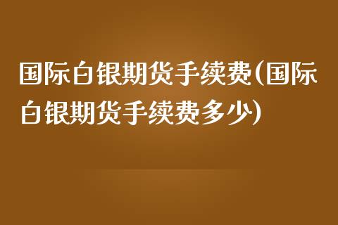 国际白银期货手续费(国际白银期货手续费多少)
