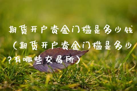 期货开户资金门槛是多少钱（期货开户资金门槛是多少?有哪些交易所）