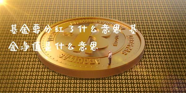 基金要分红了什么意思 基金净值是什么意思