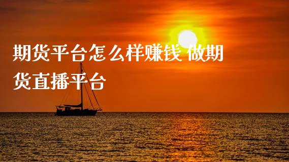 期货平台怎么样赚钱 做期货直播平台