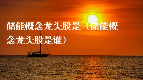 储能概念龙头股是（储能概念龙头股是谁）