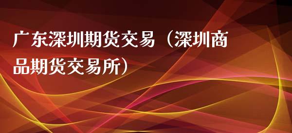 广东深圳期货交易（深圳商品期货交易所）