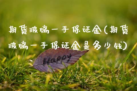 期货玻璃一手保证金(期货玻璃一手保证金是多少钱)