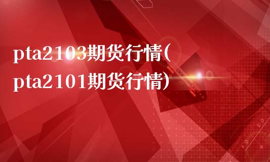 pta2103期货行情(pta2101期货行情)