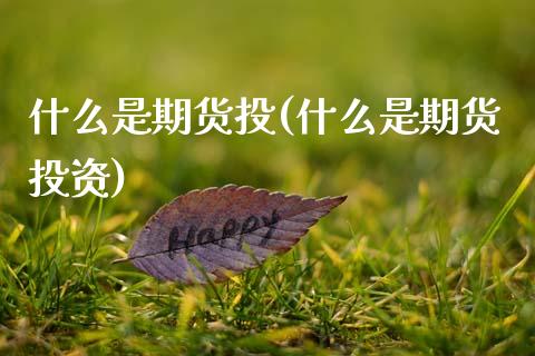 什么是期货投(什么是期货投资)