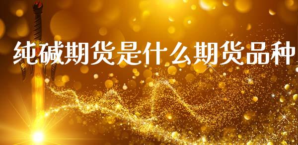 纯碱期货是什么期货品种
