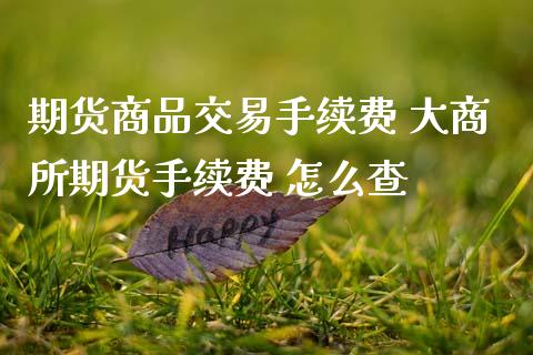 期货商品交易手续费 大商所期货手续费 怎么查