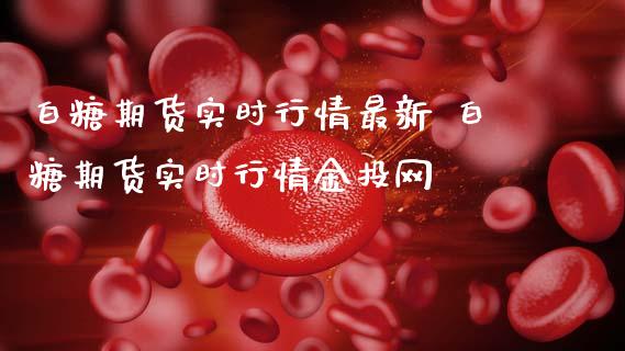 白糖期货实时行情最新 白糖期货实时行情网