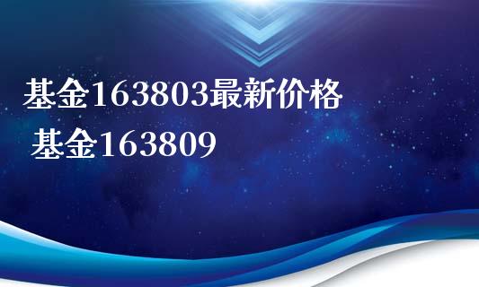 基金163803最新价格 基金163809