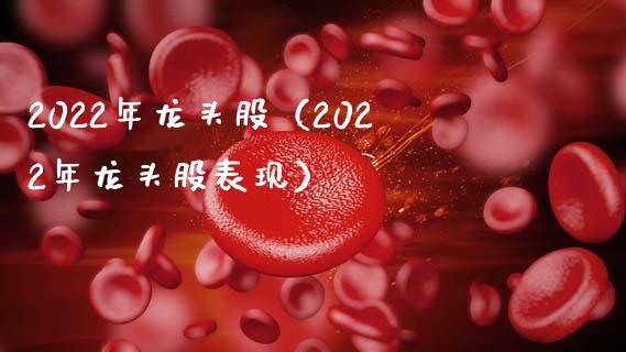 2022年龙头股(2022年龙头股表现)_财经要闻_第1张_宇龙理财网 2022年龙头股(2022年龙头股表现)_https://www.dglong8.com_财经要闻_第1张