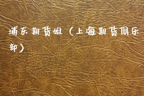 浦东期货姐（上海期货俱乐部）