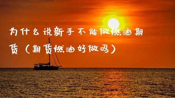 为什么说新手不能做燃油期货（期货燃油好）