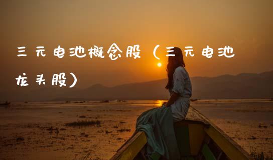 三元电池概念股（三元电池龙头股）