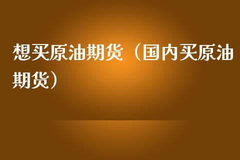 想买原油期货（国内买原油期货）