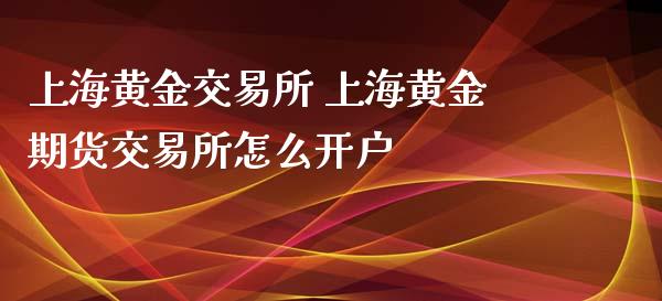上海黄金交易所 上海黄金期货交易所怎么开户