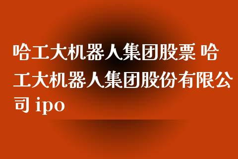 哈工大机器人集团股票 哈工大机器人集团股份有限公司 ipo