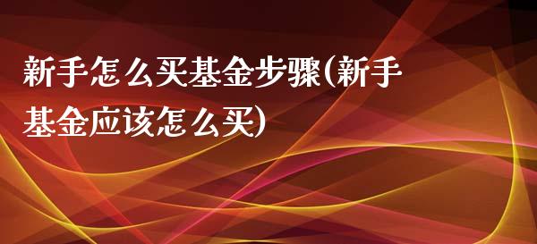 新手怎么买基金步骤(新手基金应该怎么买)